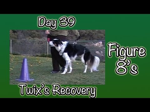 Day 39: Figure 8's with cones