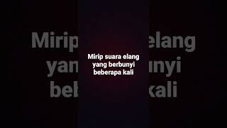 Download lagu suara siulan mp3 Download lagu suara siulan mp3