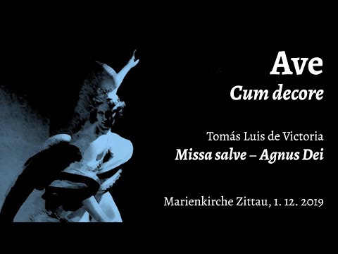 Tomás Luis de Victoria: Missa Salve – Agnus Dei | Ave: Zittau 2019