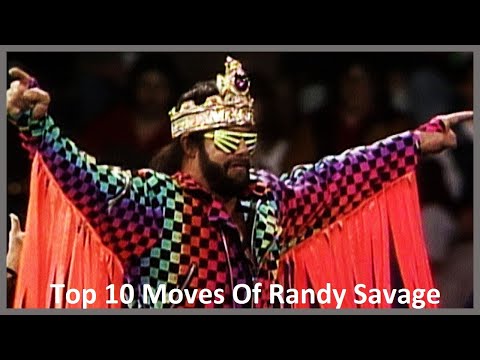 Macho Man - Top Ambiente