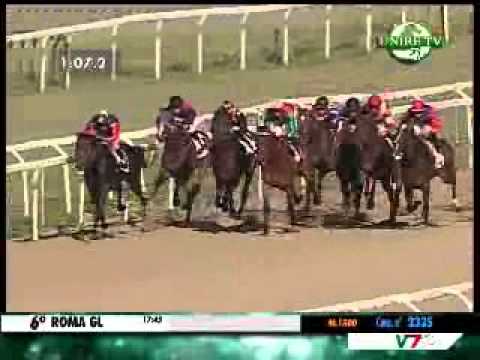 02/06/2013, Roma , Premio Shibuni's Falcon C.naz.