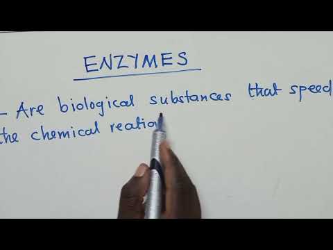 Enzymes - characteristics and factors effect enzymes.