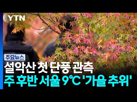 설악산 첫 단풍 시작...주 후반 서울 9℃ '가을 추위' / YTN
