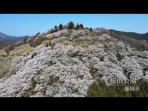 空から見た桜山公園