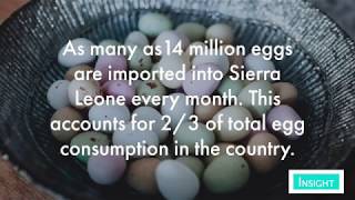 Better business opportunities - vet services for the poultry industry