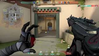 Spotlight Clip