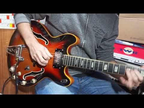 The V267 Vox Cheetah