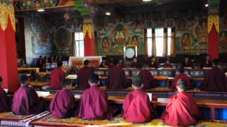 Einblicke in das Tibetische Buddhistische Tempelleben 2011