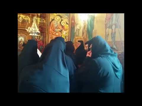 20180128 NICOLAE BALASOIU – DUMINICA VAMESULUI SI A FARISEULUI