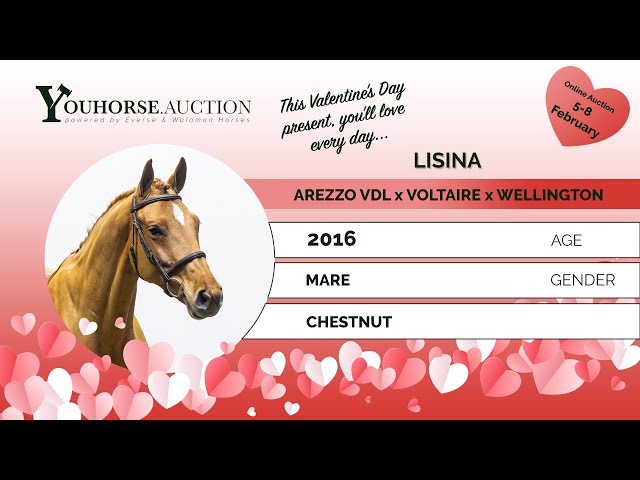 Lisina @ the show