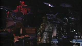 Ringo Starr an All Starr Band - 8 - Honey Don't