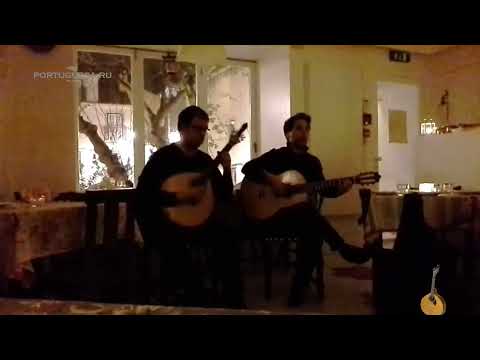 Cravo de São João. Marco Oliveira. Maria da Mouraria. Casa da Severa