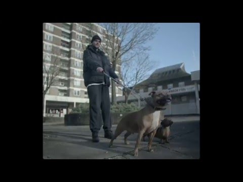 Astroid Boys - Fallback ///