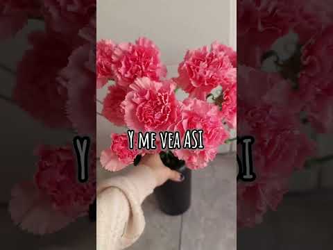 #procesodecambio #sarandi #Wilde #bernal #barracas #docksud #flores#floreria #fypシ #parati #viral