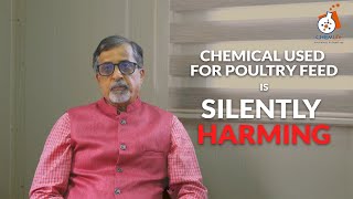 Harsh reality against poultry feed | Harsh side of chemical