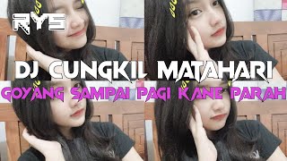 Download lagu DJ CUNGKIL MATAHARI TERBARU TIKTOK VIRAL KANE OLD mp3 Download lagu DJ CUNGKIL MATAHARI TERBARU TIKTOK VIRAL KANE OLD mp3