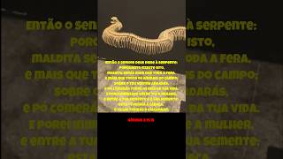 OS DECRETOS DO SENHOR SÃO PERFEITOS