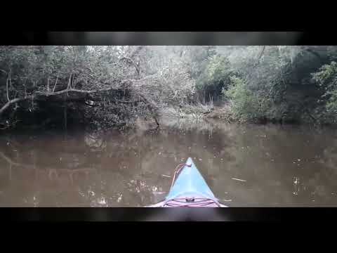 Escuela de Canotaje de Rocha proyecta un circuito náutico entre Rocha y La Riviera.