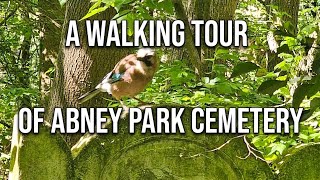 Abney Park Cemetery - One of London's 'Magnificent Seven' #4k #london #walking 