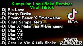 Download lagu Kumpulan Lagu Raka Remixer Yang Viral Di Tik Tok mp3