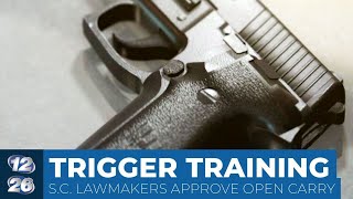 South Carolina Senate passes permitless carry gun bill