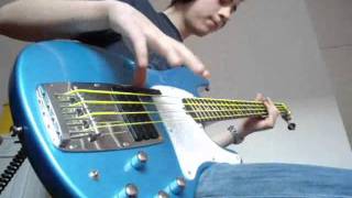 Video thumbnail for RATM - Killing In The Name (Bass Cover) by Paul Montliaud