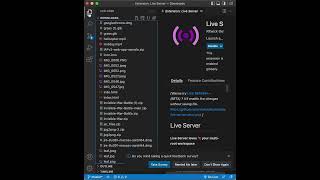 Download lagu How to test HTML in VS Code in 40 seconds mp3