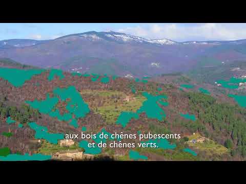 18. L'évolution des paysages de la châtaigneraie 2. Les Cévennes