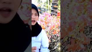 Download lagu JANGAN PURA PURA REVINA ALVIRA #shorts mp3