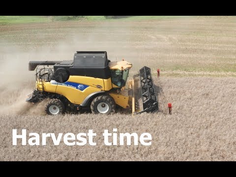 Harvest time in Denmark - DaneWithADrone