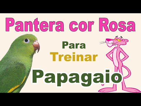 Assobio papagaio - música pantera cor de rosa para treinar papagaio