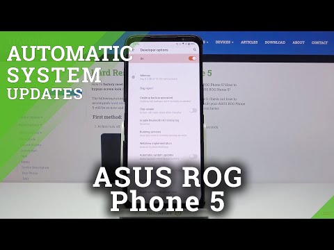 How to Activate Automatic System Updates on ASUS ROG Phone 5 – System Actualizations
