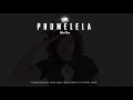 MissPru DJ Phumelela Ft Amanda Black Saudi Sjava Sindi A Reece Fifi Cooper Emtee AUDIO