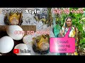 ପତ୍ର ପୋଡ଼ା ଅଣ୍ଡା ତରକାରି ଏଗାର ଦିନ ପରେ ହ