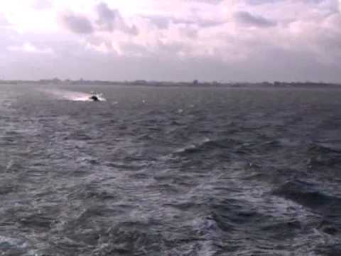 Marine infodag algemeen 08-11-12 varen