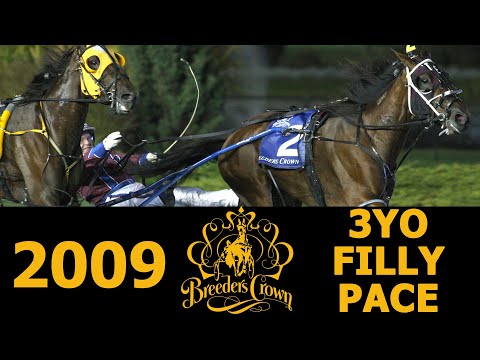 2009 Breeders Crown - Yellow Diamond - 3YO Filly Pace