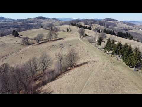 Grosuri Monești Soharu Cotancu