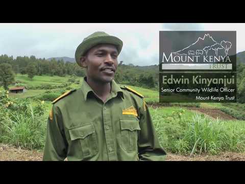 Mt Kenya