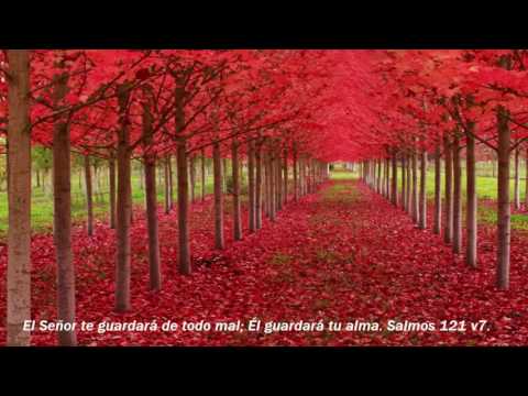 Hino 9 CCB em espanhol