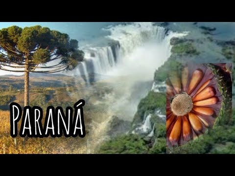 VÍDEO COMPLETO: Viagem pelo estado do PARANÁ GUARAPUAVA, TURVO, FOZ do IGUAÇU, e muito mais ...