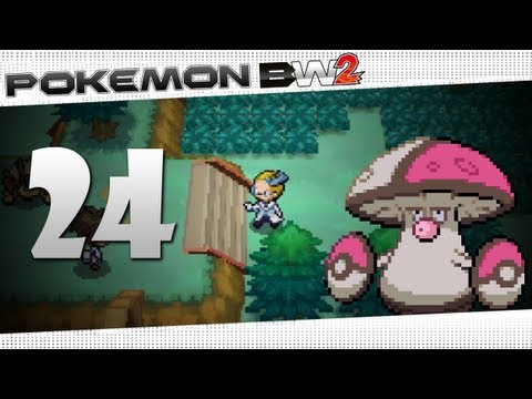 Pokémon Black & White 2 - Routes 21 & 22 [JPN]