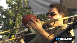 Levon Helm Band Performs "Bourgeois Blues" at Gathering of the Vibes 2011