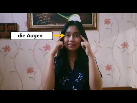 Der Körper ("Body" parts in German Language)