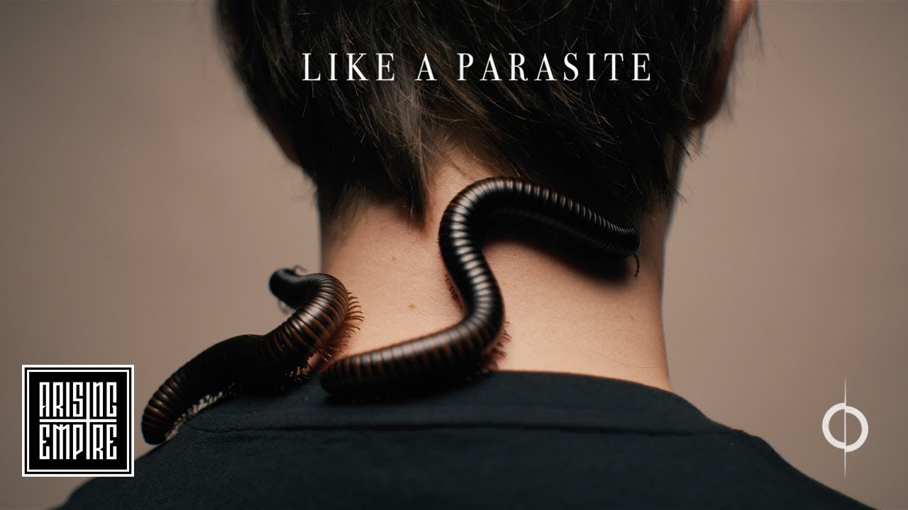Annisokay — Like A Parasite