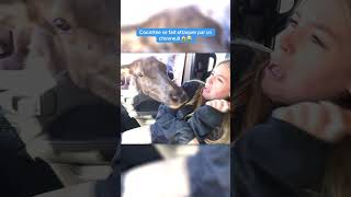 Nouvelle vidéo chaîne secondaire: LES MEILLEURS ACTIVITÉS QUÉBÉCOISES À FAIRE ABSOLUMENT #shorts