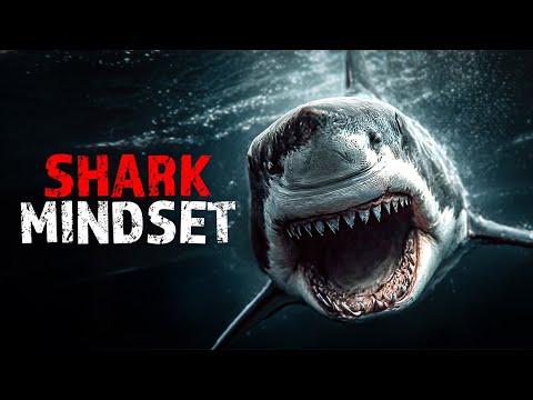 SHARK MINDSET | Best Business Advice Ever by Walter Bond