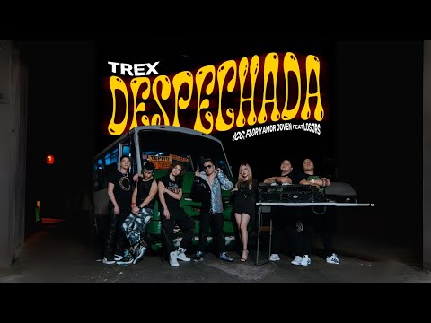 DESPECHADA - TREX, ICC, Flor y Amor Joven, LOS JRS