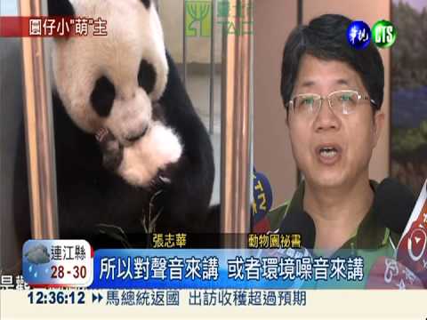 小"萌"主圓仔 生活點滴10月上線