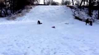 Worst thing in my life