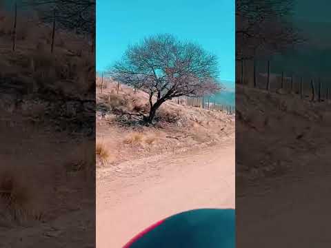 Cuesta de humaya, Catamarca. #motovlog #motoviajero